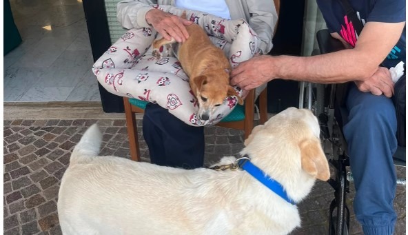 Pet therapy al San Michele Hospital Aprilia