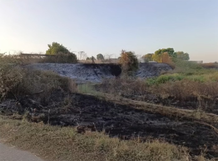 Velletri - incendio vicino canile comunale