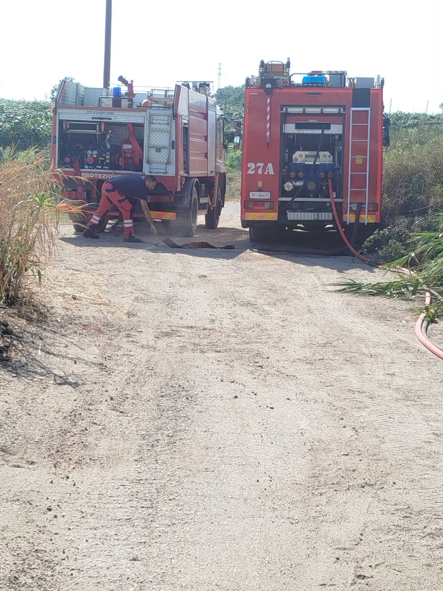 Velletri - incendio vicino canile comunale