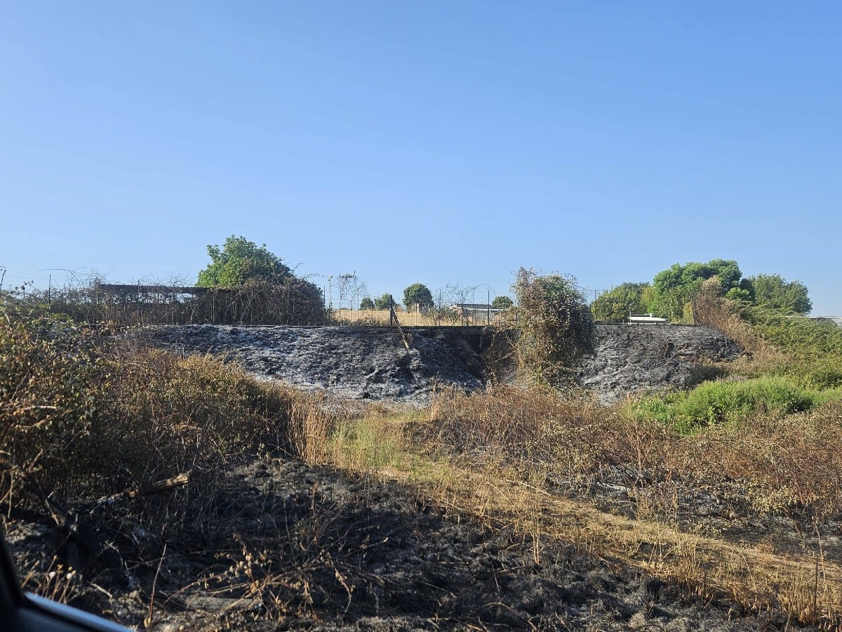 Velletri - incendio vicino canile comunale