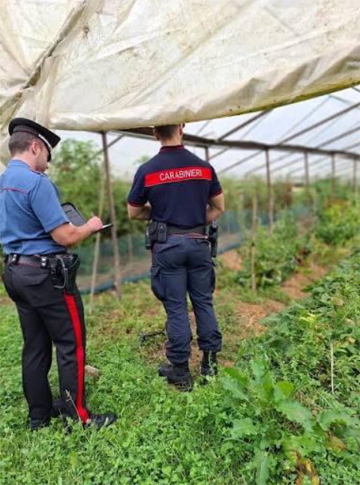 Carabinieri Nil a Sermoneta tra i campi di kiwi