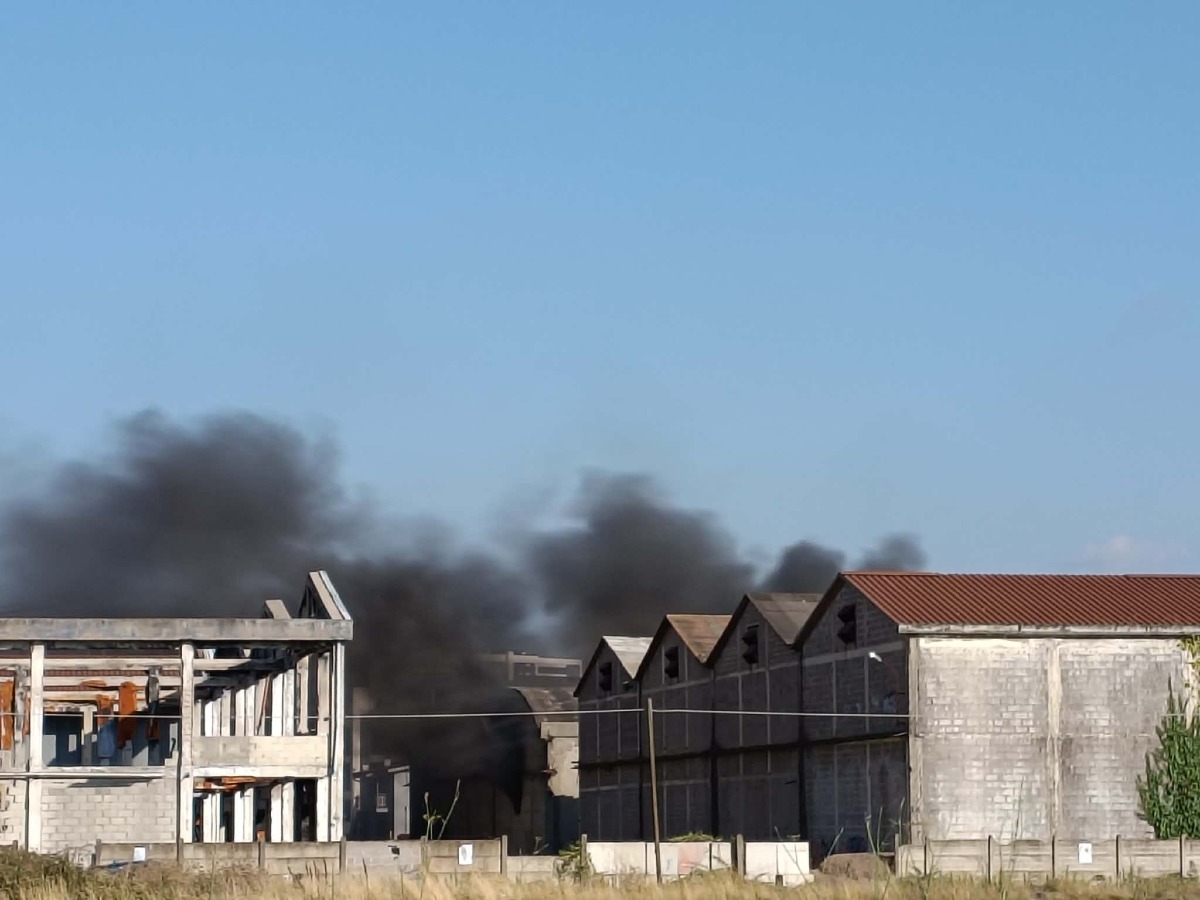 Incendio ex Freddindustria 23 luglio 26
