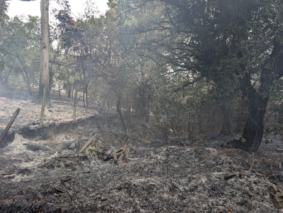 Incendio Castel Romano 