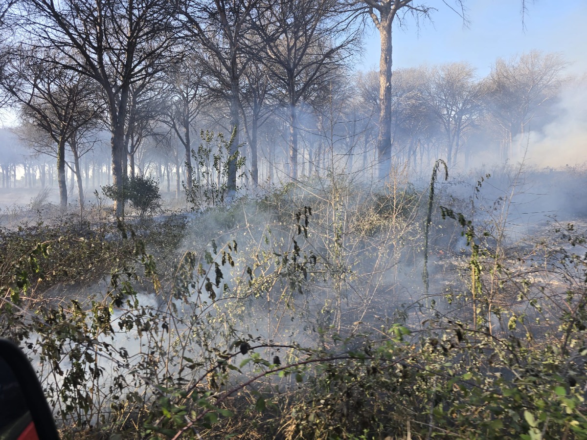 incendio campana nettuno 