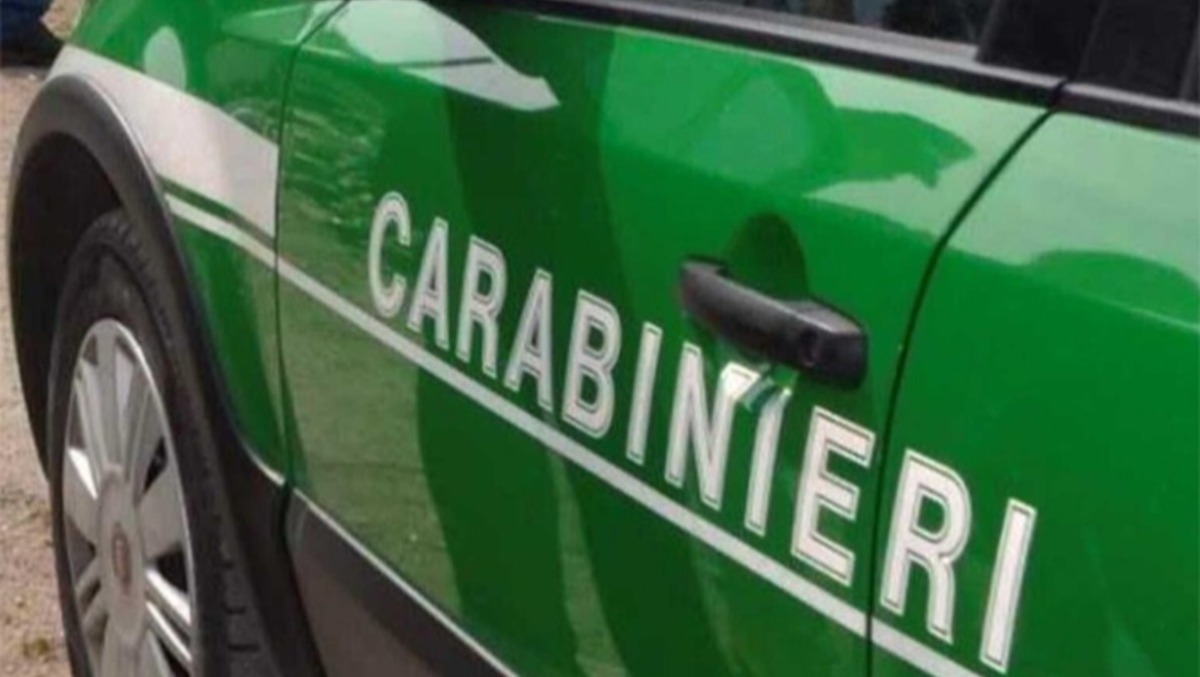 Shopper fuorilegge: controlli del Nucleo Carabinieri Forestale ai Castelli Romani. - 