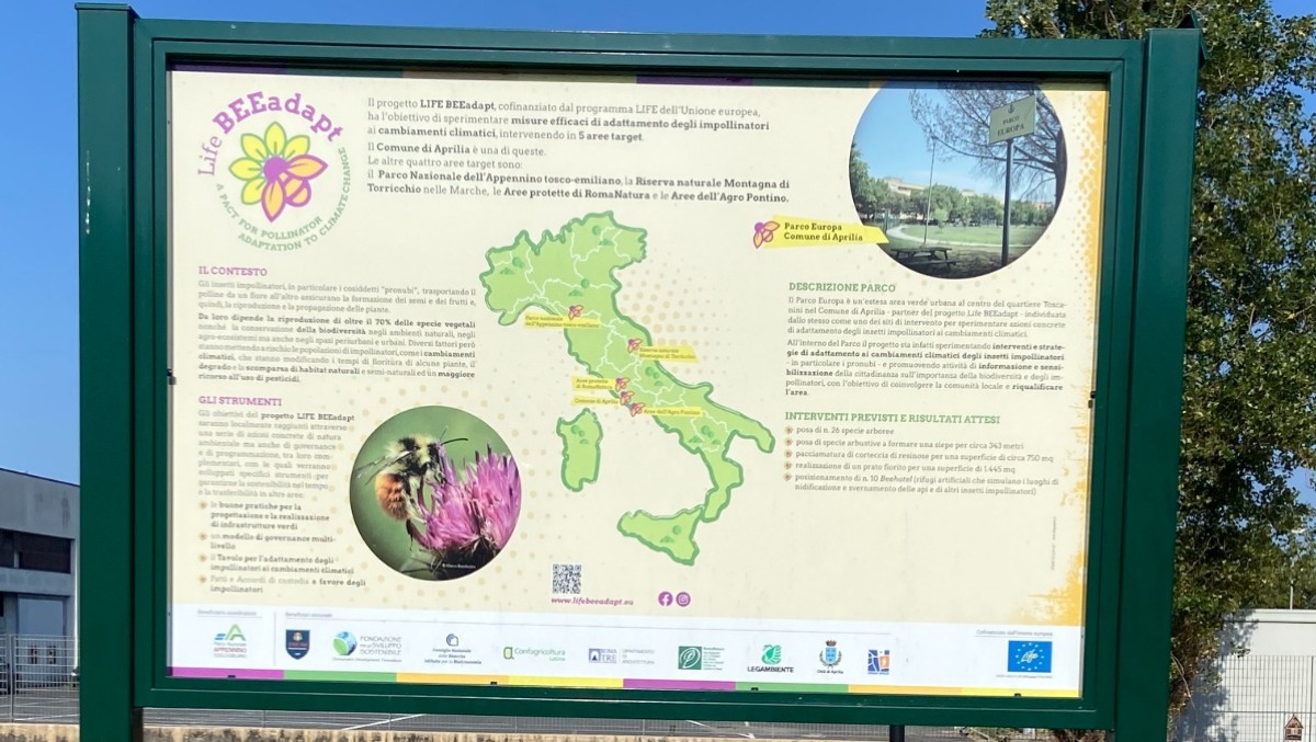 Aprilia - "Tutela delle api, a che punto è il progetto finanziato dall'Europa? Il Comune chiarisca" - 