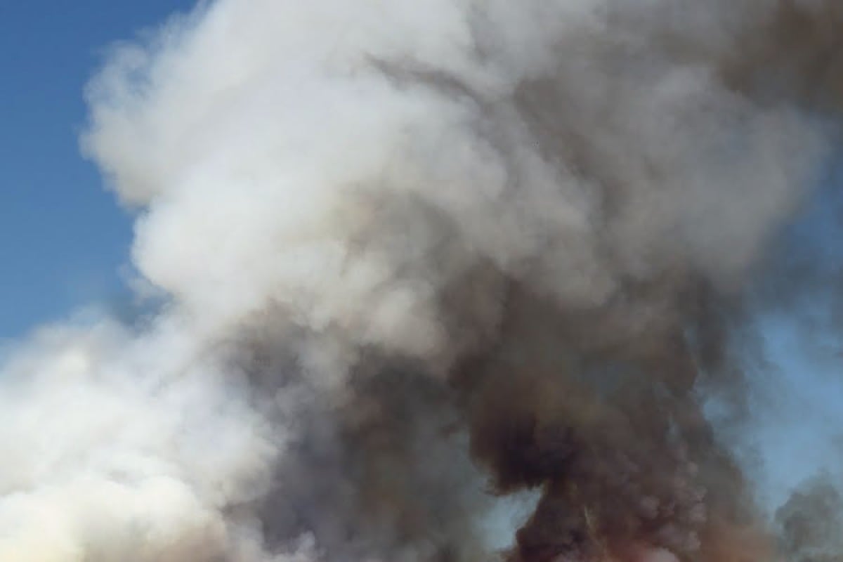 Pontina, incendio a Castel Romano. Disagi - 