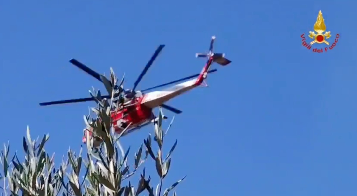 Decine di ettari di macchia mediterranea in fiamme - 