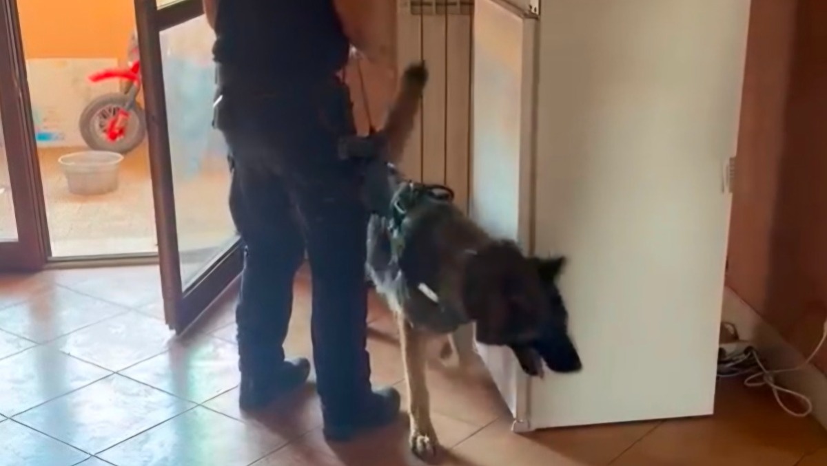 Droga e occupazione abusiva: blitz a Santa Palomba - 