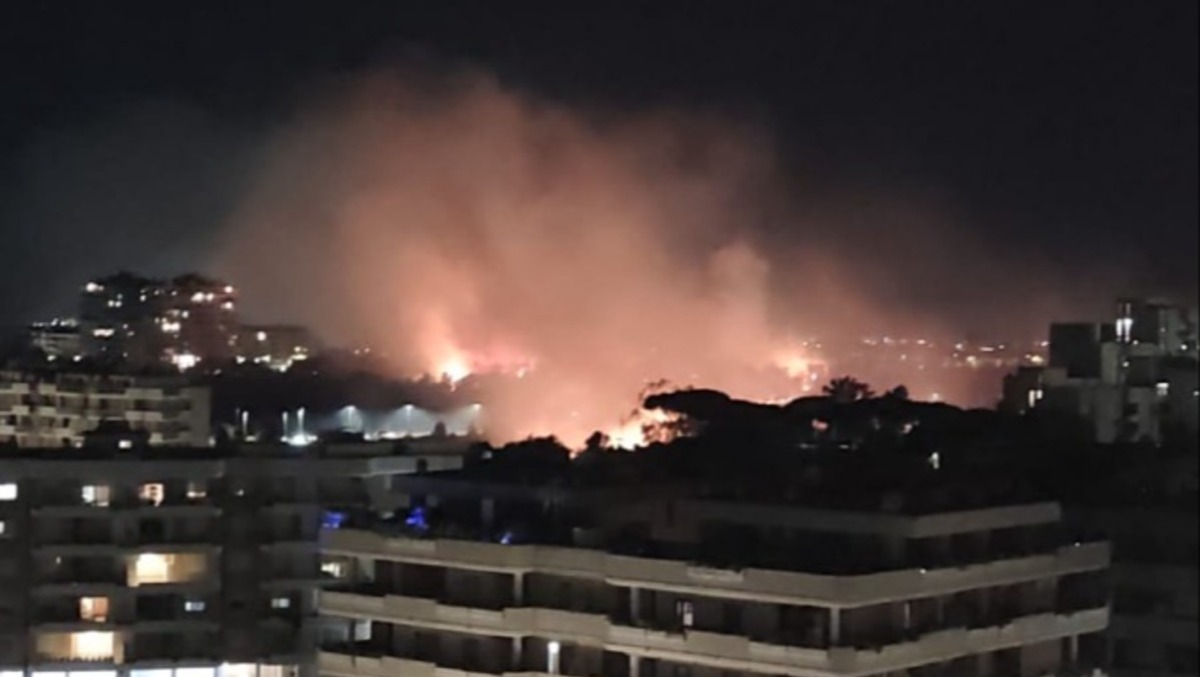 Incendio di Pomezia: l'intervento degli Amici Della Sughereta - 