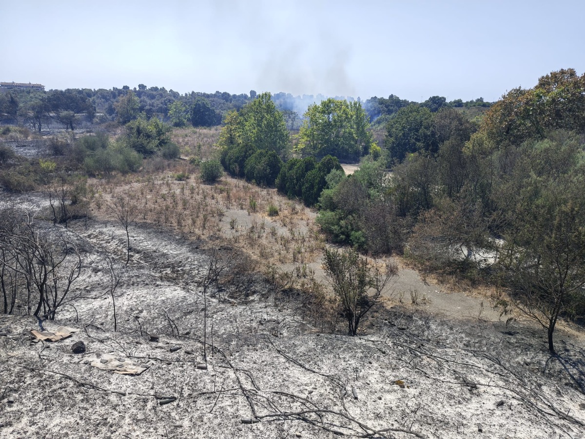 Incendio di Pomezia, il day after - 