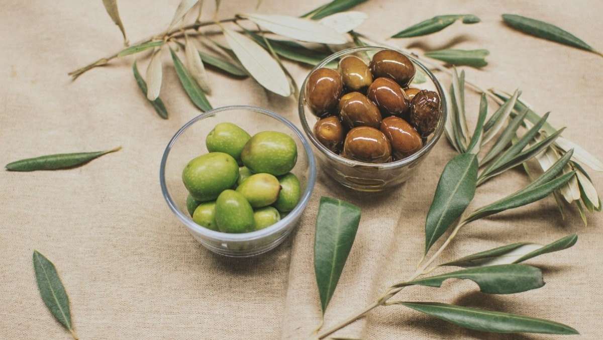 Agrilazio Expo 2026: il CAPOL porta a Cisterna l'eccellenza dell’olio pontino e la cultura dell’assaggio. - 