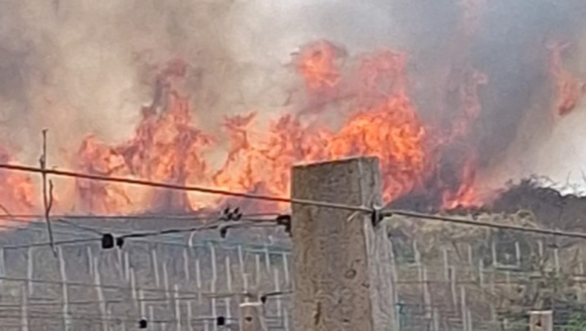 Enorme incendio al confine tra Aprilia e Velletri. - 