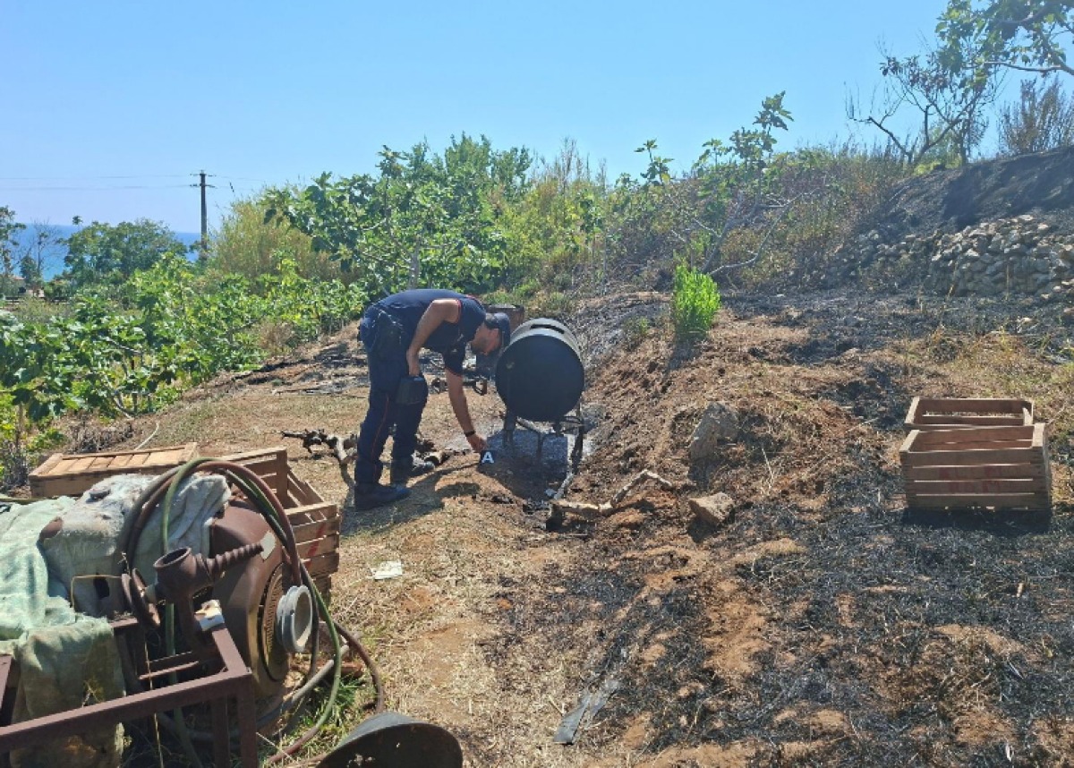 Incendio boschivo a Gaeta, rogo nato dopo la bollitura di conserve di pomodoro. Una denuncia - 