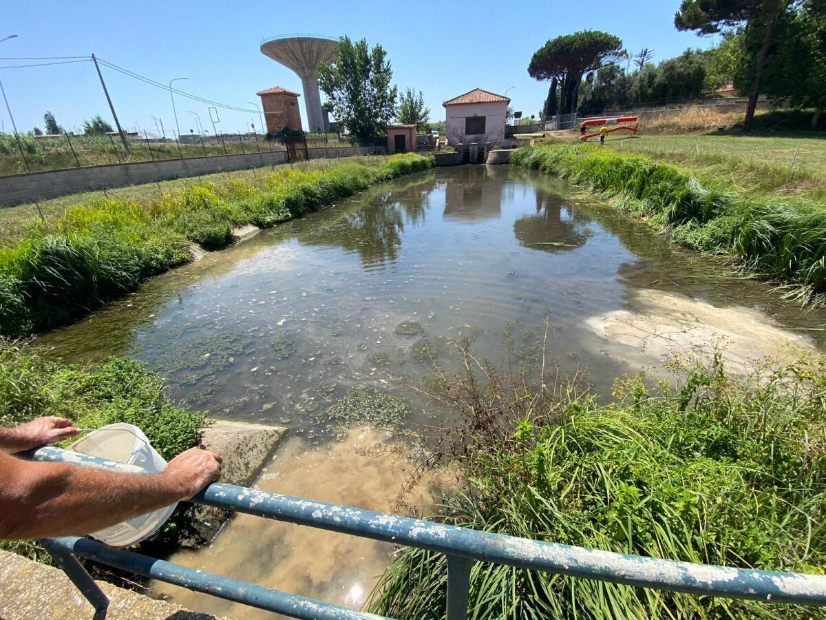 Agricoltura Lazio, Righini: “Autorizzato +50% di gasolio agevolato ai consorzi di bonifica” - 
