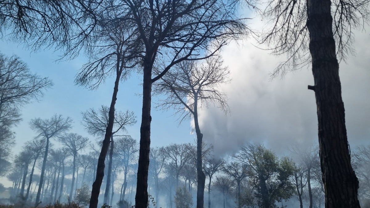 Incendio pineta La Campana - intervento 1 agosto 2026