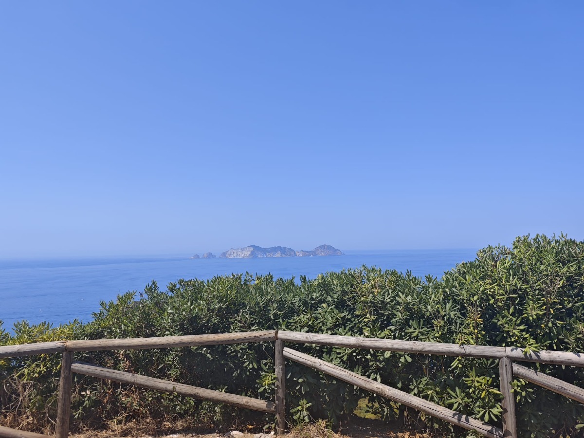 Villa delle Tortore, il patrimonio di Ponza