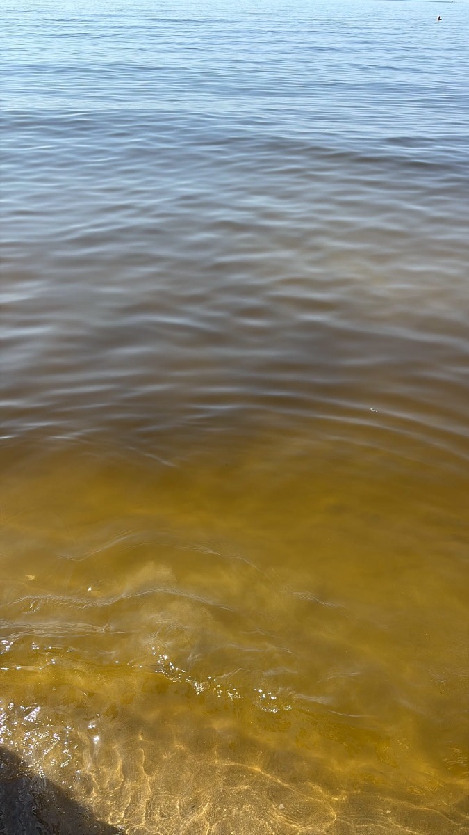 Mare giallo 