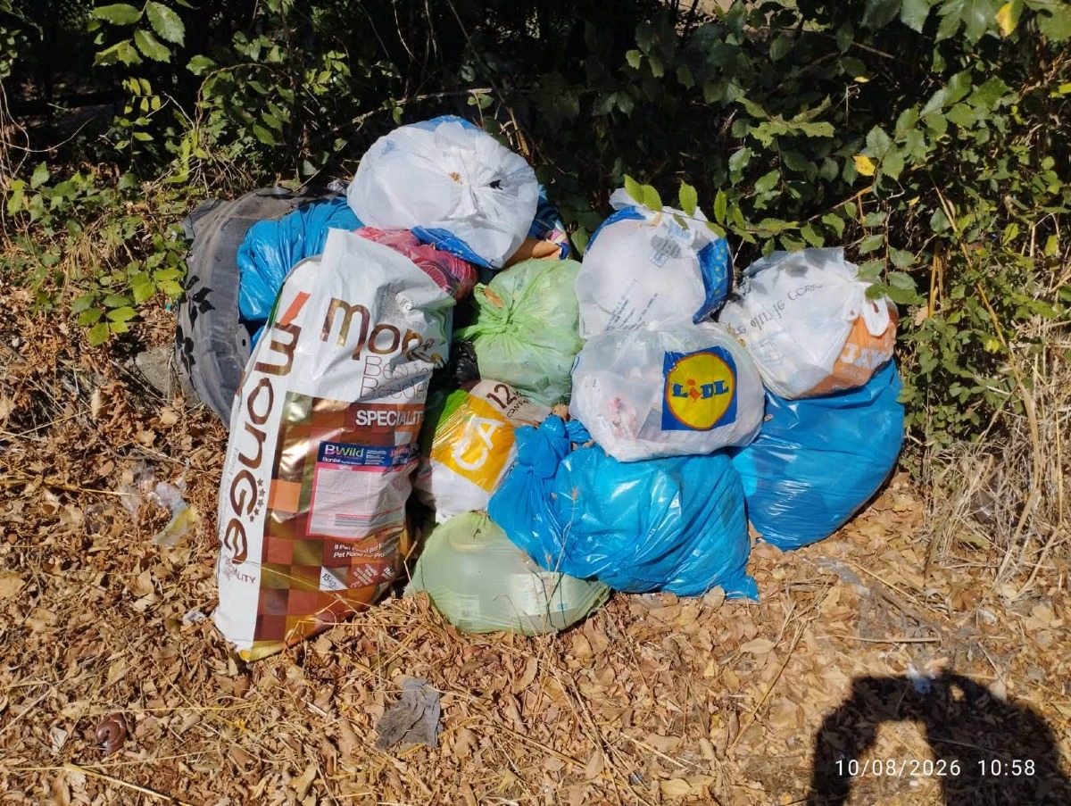 Rifiuti Abbandonati Lanuvio