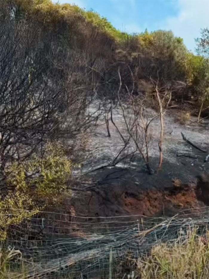 Anzio_Incendio Via delle Calcare