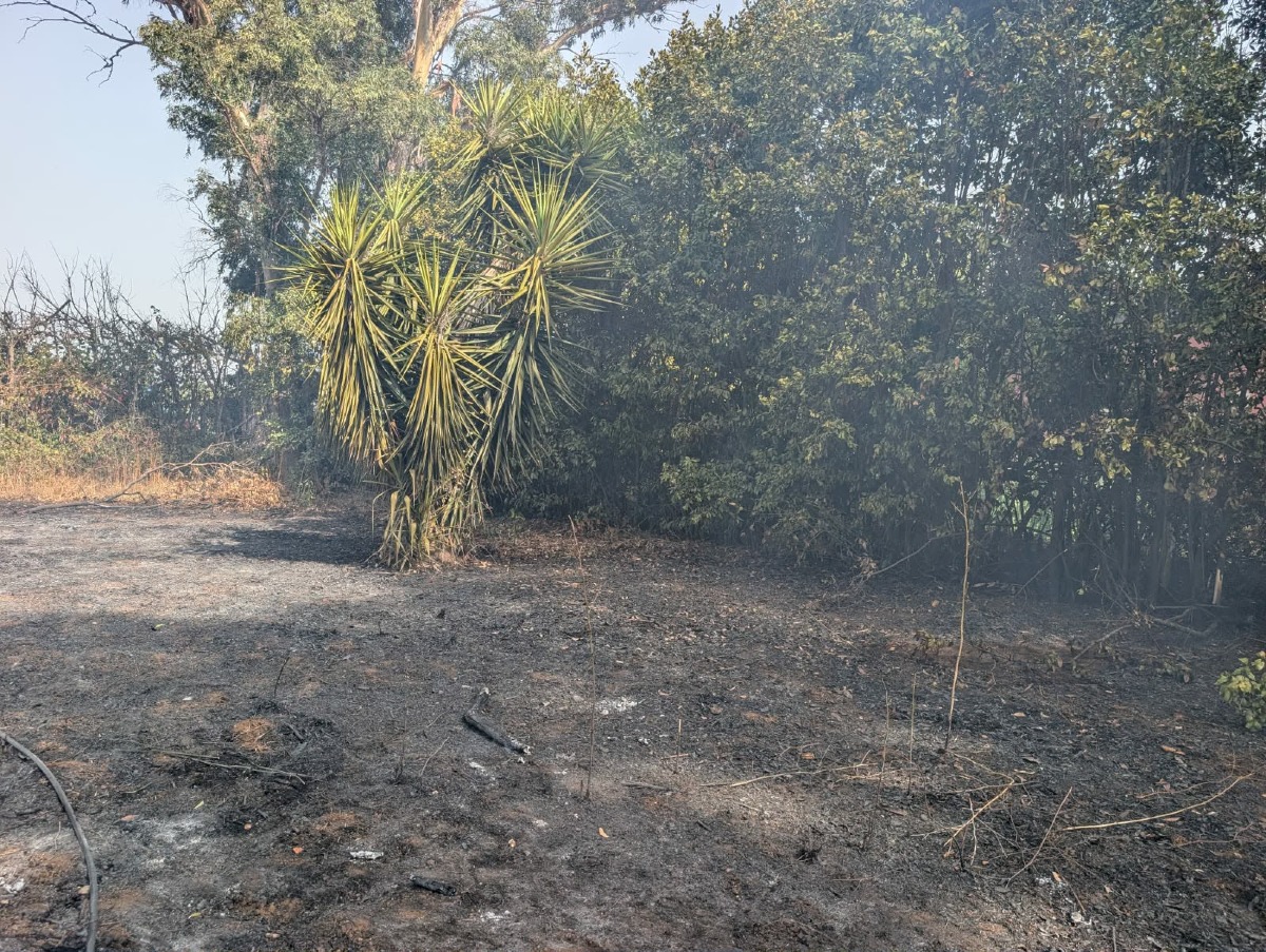 Incendio via Bergamo_Ardea