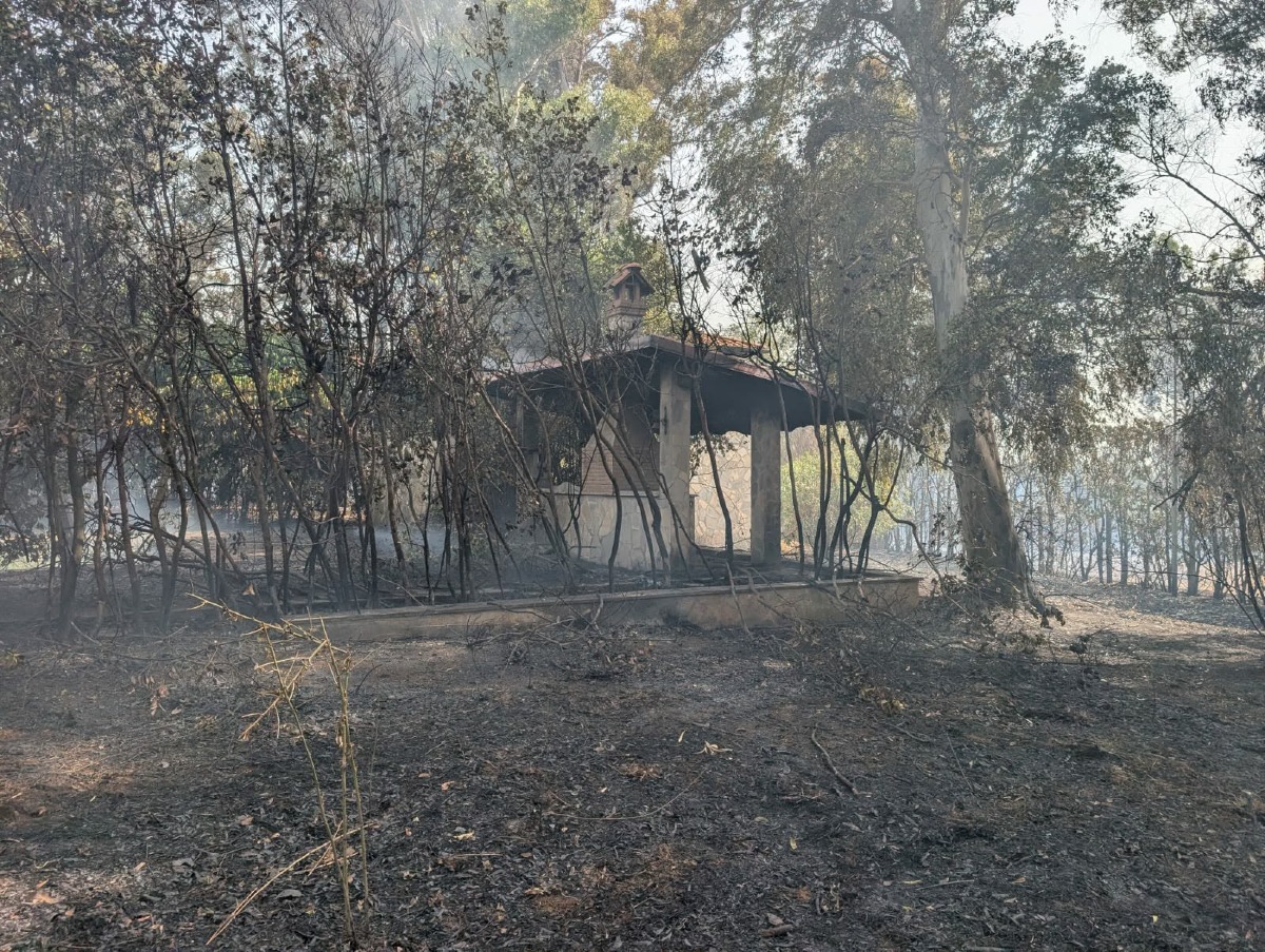 Incendio via Bergamo_Ardea