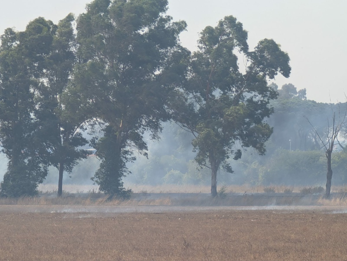 Incendio via Bergamo_Ardea