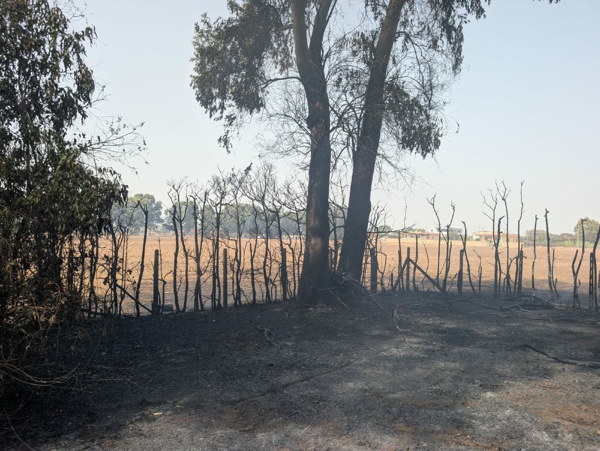 Incendio via Bergamo_Ardea
