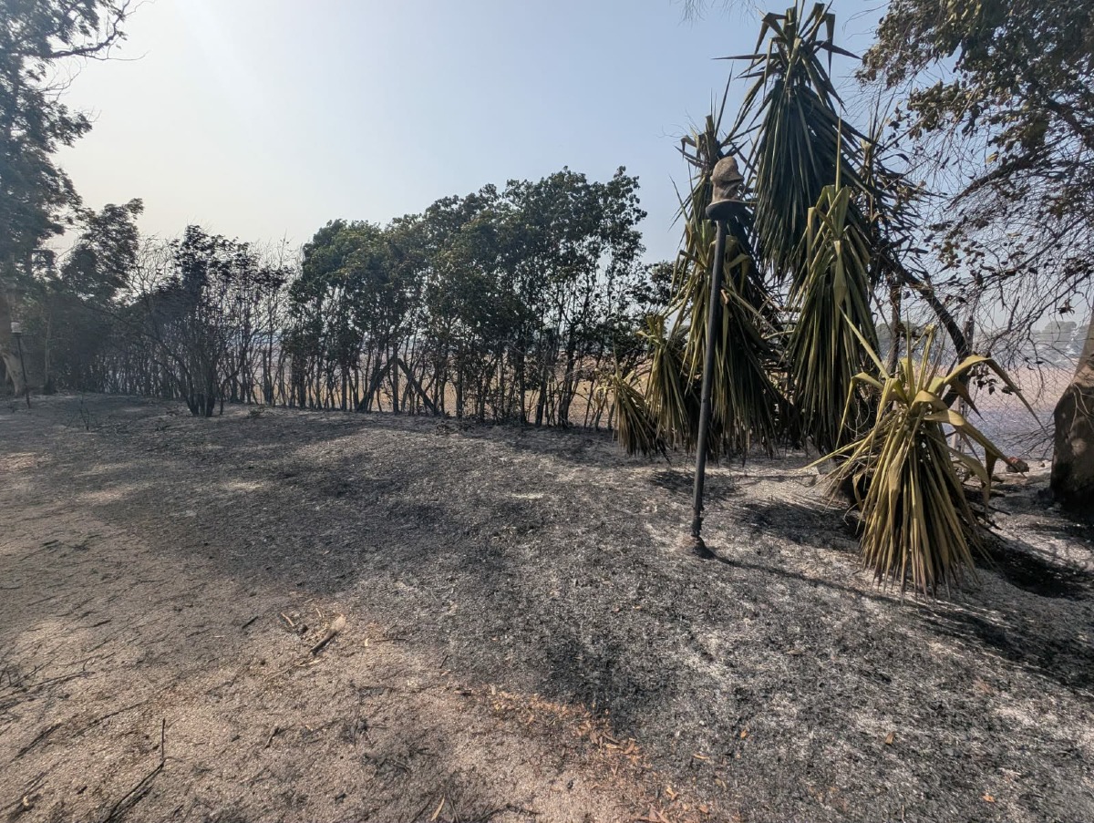 Incendio via Bergamo_Ardea