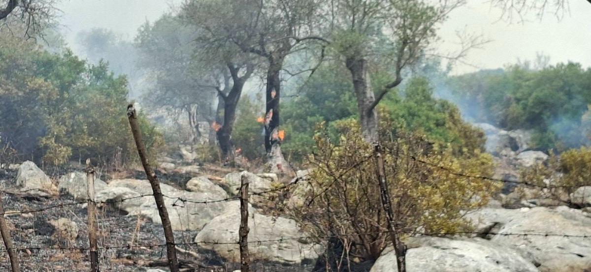 Incendi tra Priverno e Sezze - Protezione Civile