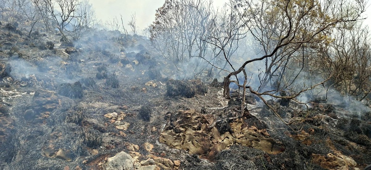 Incendi tra Priverno e Sezze - Protezione Civile