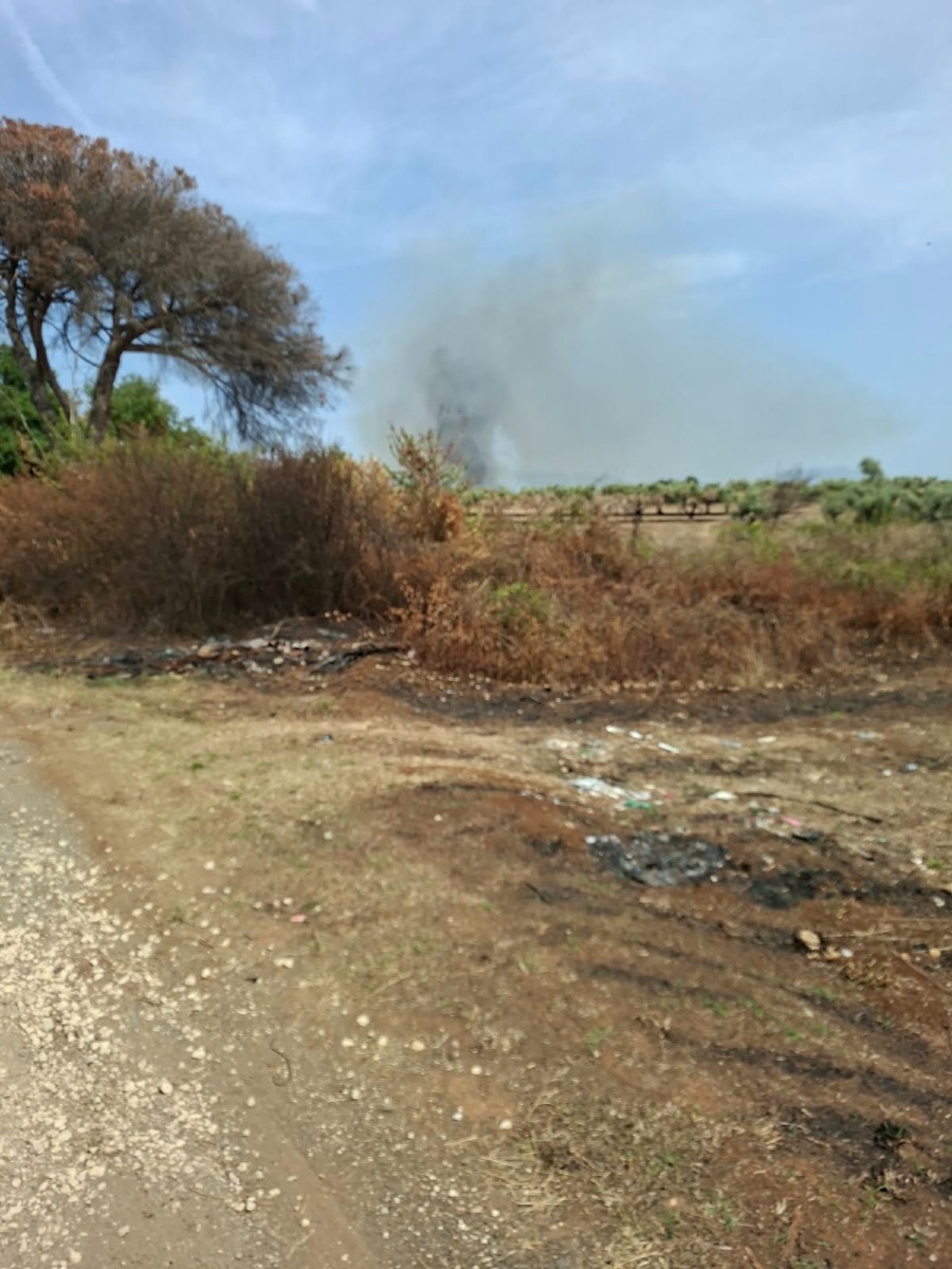 Incendio tra Aprilia e Velletri - via Torre di Lazzaria