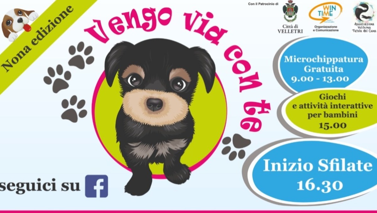 Velletri - “Vengo via con te”: l'evento per i cani in cerca di una famiglia.  - 