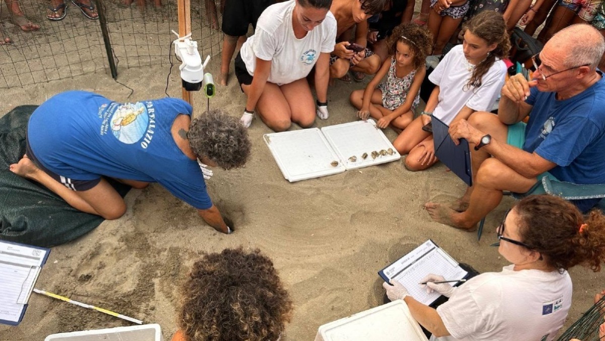 Festa sulla spiaggia di Terracina per le 70 piccole Caretta caretta: l'appuntamento di Legambiente. - 