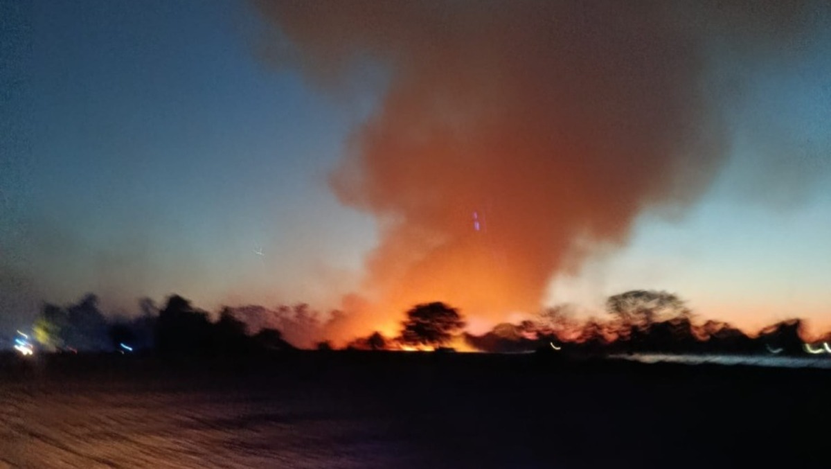 Inferno di fuoco tra la Pontina e Borgo San Michele: villetta distrutta, famiglie evacuate e animali morti. - 