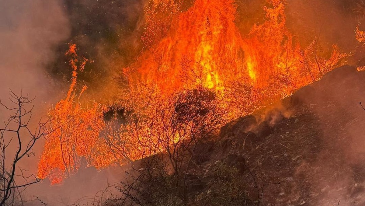 Brucia il Monte Semprevisa: l'appello del CAI di Sezze contro i roghi dolosi nei Monti Lepini. - 