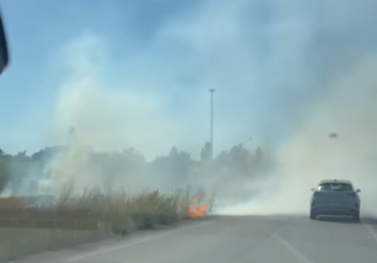 Latina - Fiamme vicino alla Pontina, fumo invade la strada  - 