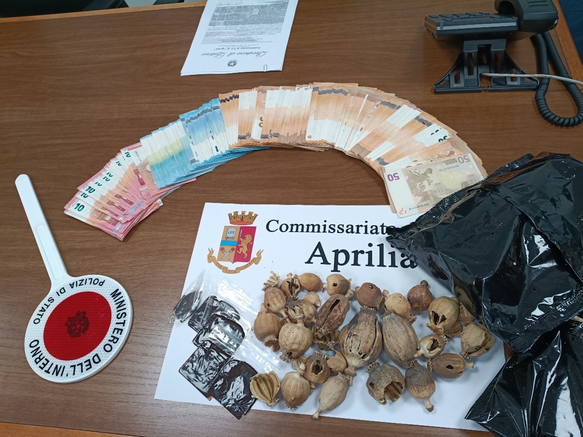 Aprilia - Fermato con 55 chili di papavero da oppio, condanna e pesante multa per un 33enne - 