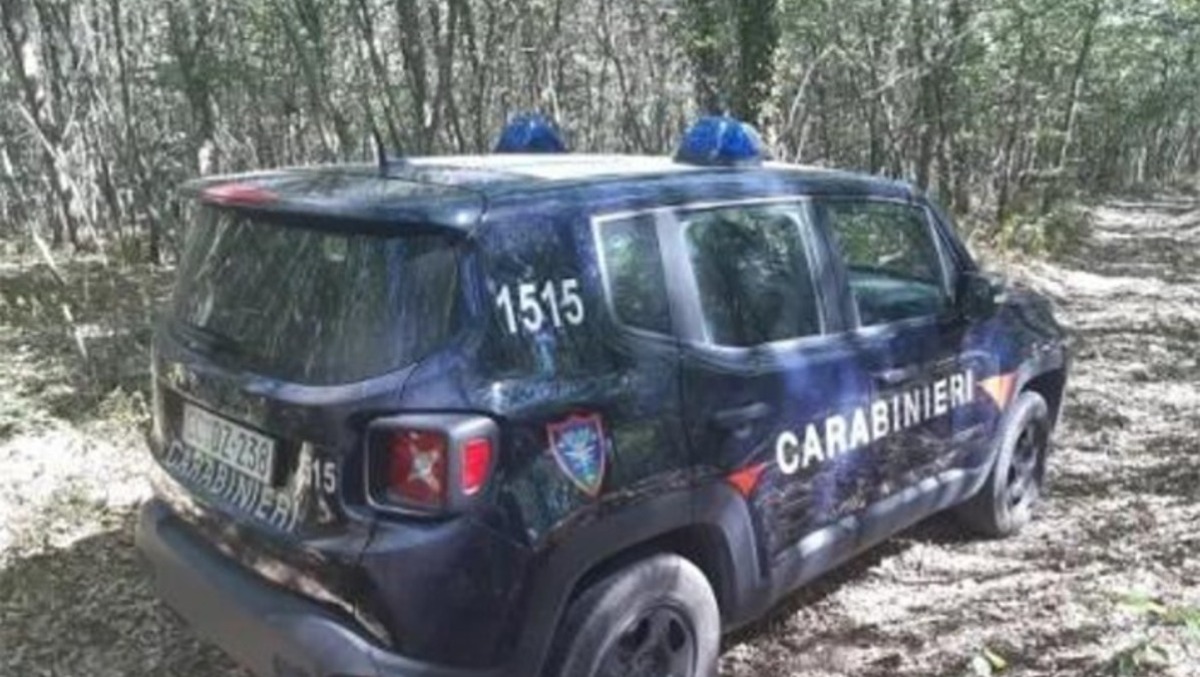 Aprilia, centro ippico trasformato in una discarica abusiva: titolare denunciato dai Forestali. - 