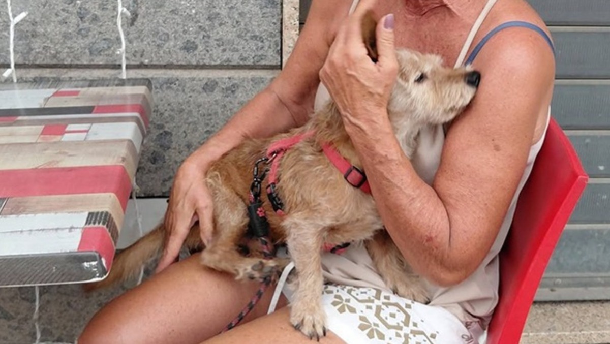 Stefania riabbraccia il piccolo Bruno dopo 7 anni, perso ad Ardea e ritrovato ad Aprilia - 