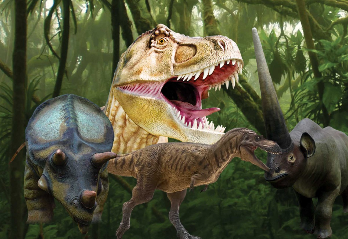 Viaggio nel tempo ai Castelli Romani: tutti al "Dino Park World of Dinosaurs"  - 