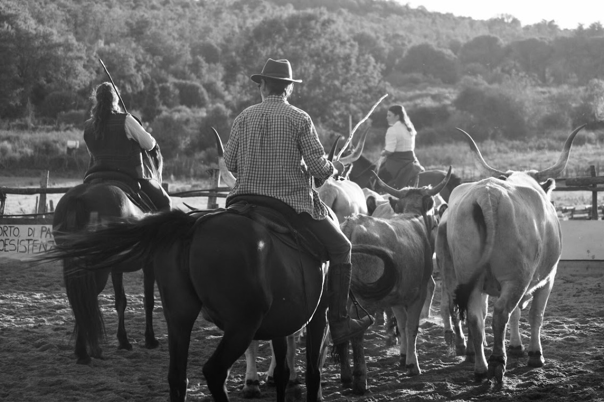 Castelli Romani in sella: al via la festa del Buttero Contemporaneo - 