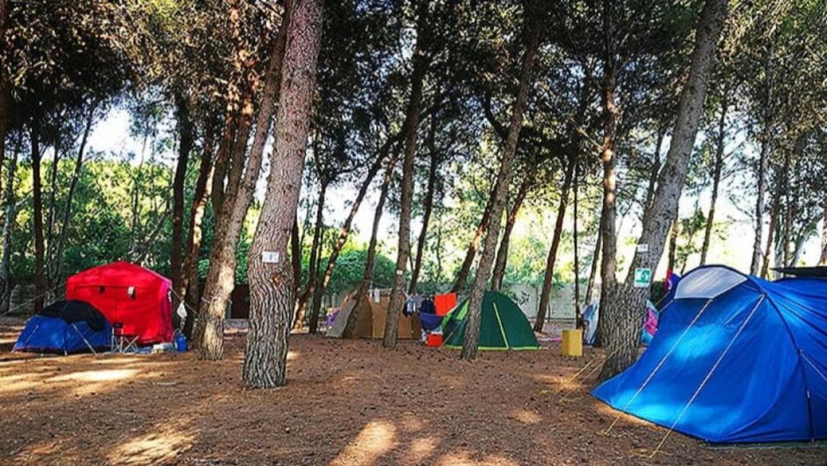 Latina, palpeggia una 12enne nel campeggio: 87enne ai domiciliari per violenza aggravata.  - 