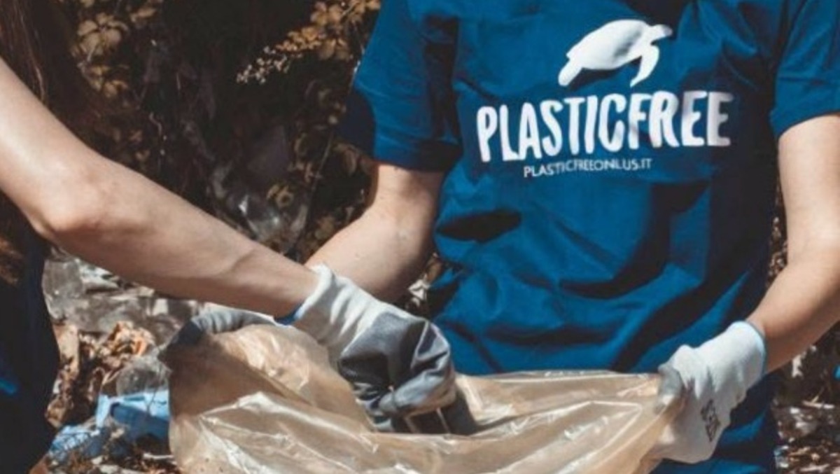 A Nettuno i volontari di Plasticfree in spiaggia per una mattinata di pulizia e bonifica. - 