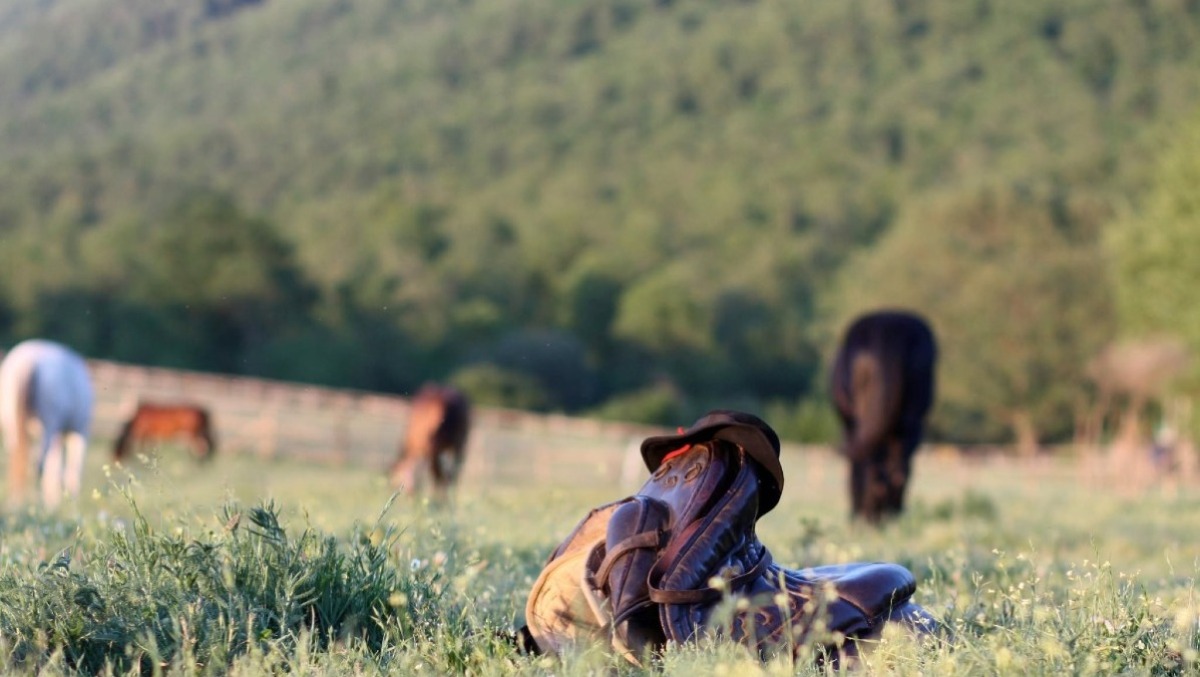 Ai Pratoni dei Vivaro, a Velletri, “Festa del Buttero Contemporaneo” tra tradizione, arte equestre e gusto. - 