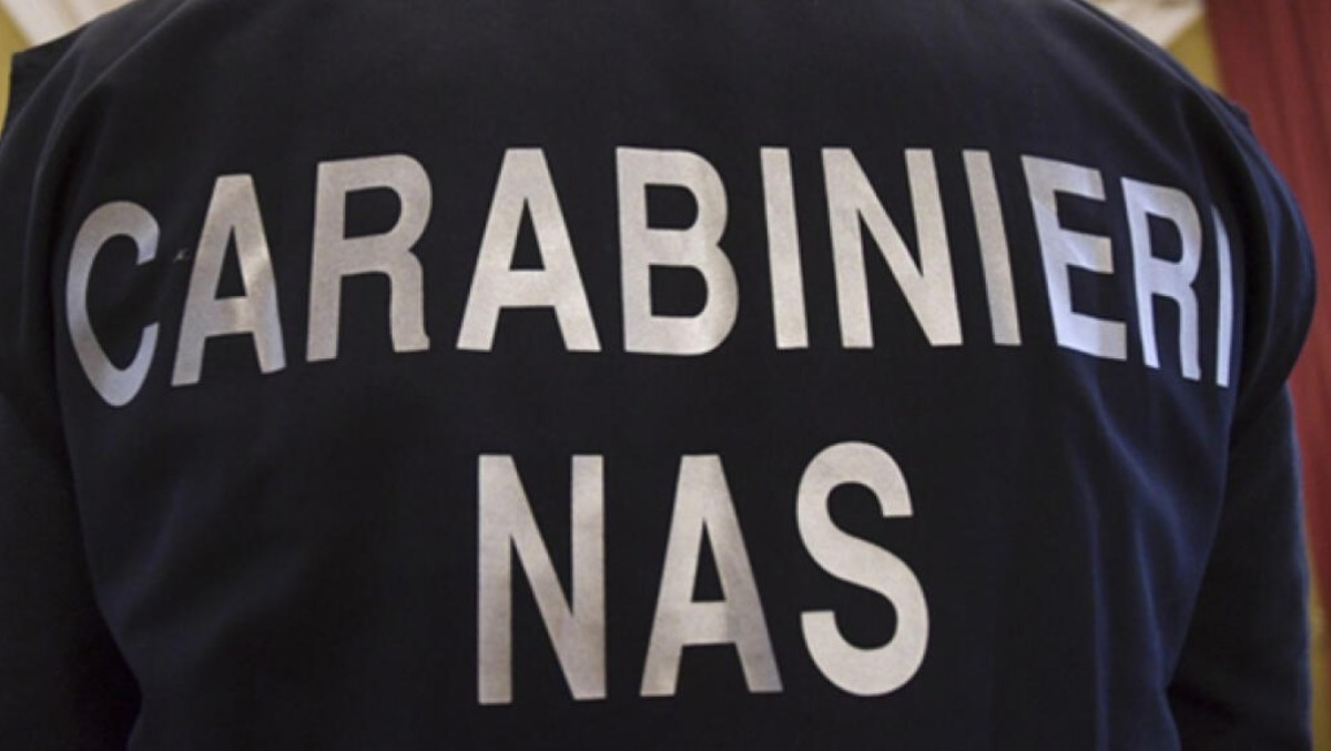 Sicurezza alimentare: il NAS di Latina sequestra 160 kg di cibo a rischio, chiuso un bar  - 