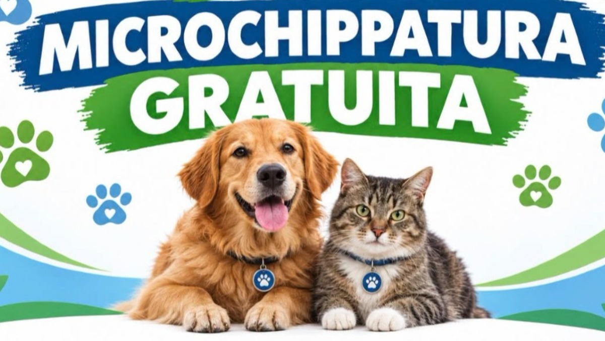 Albano, microchip gratis per cani e gatti: l’iniziativa per la Festa di San Francesco. - 
