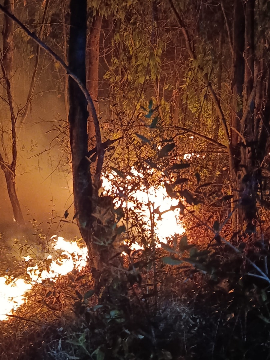 Incendio Borgo San Michele
