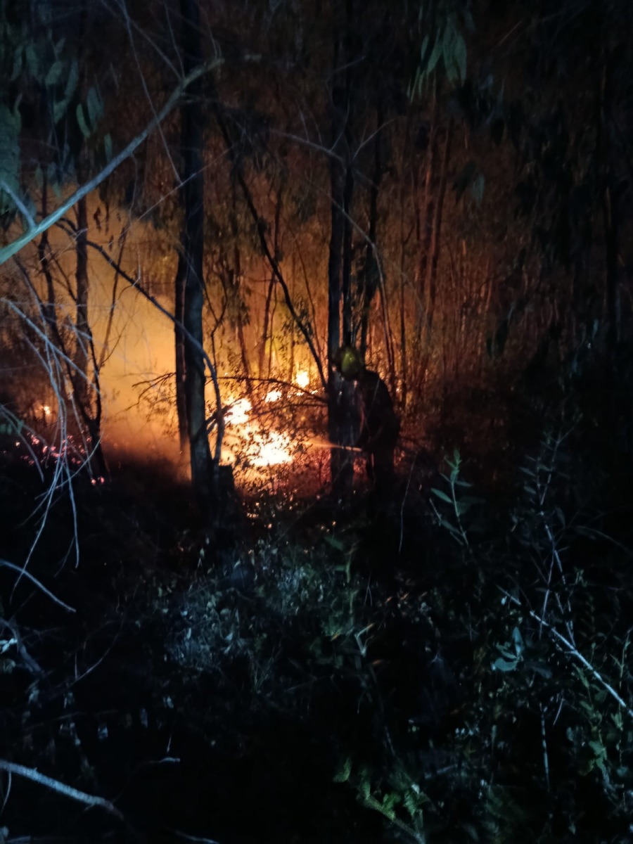 Incendio Borgo San Michele