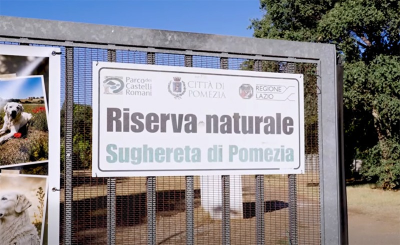 Sughereta Pomezia